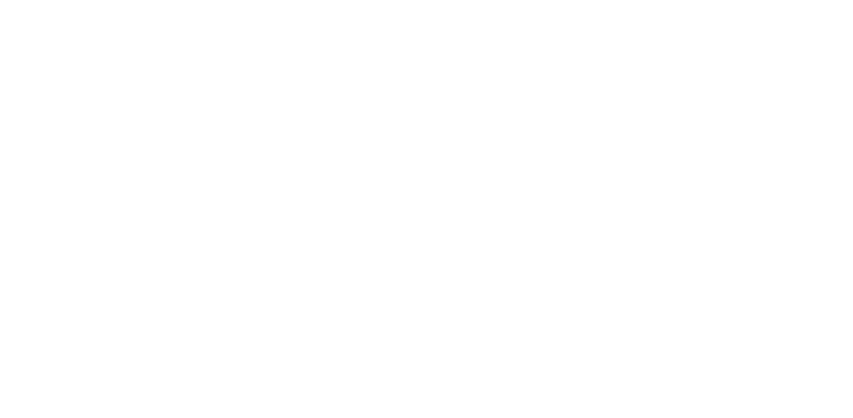 Whiskey Wash Logo